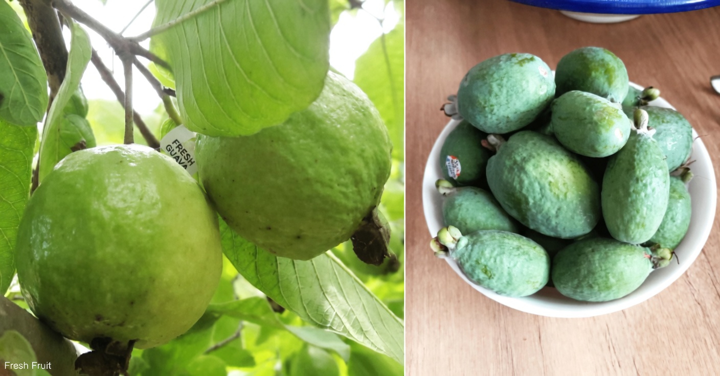 How to Enjoy Guava Daily to Support Your Eye Health Naturally: Simple Tips and Recipes