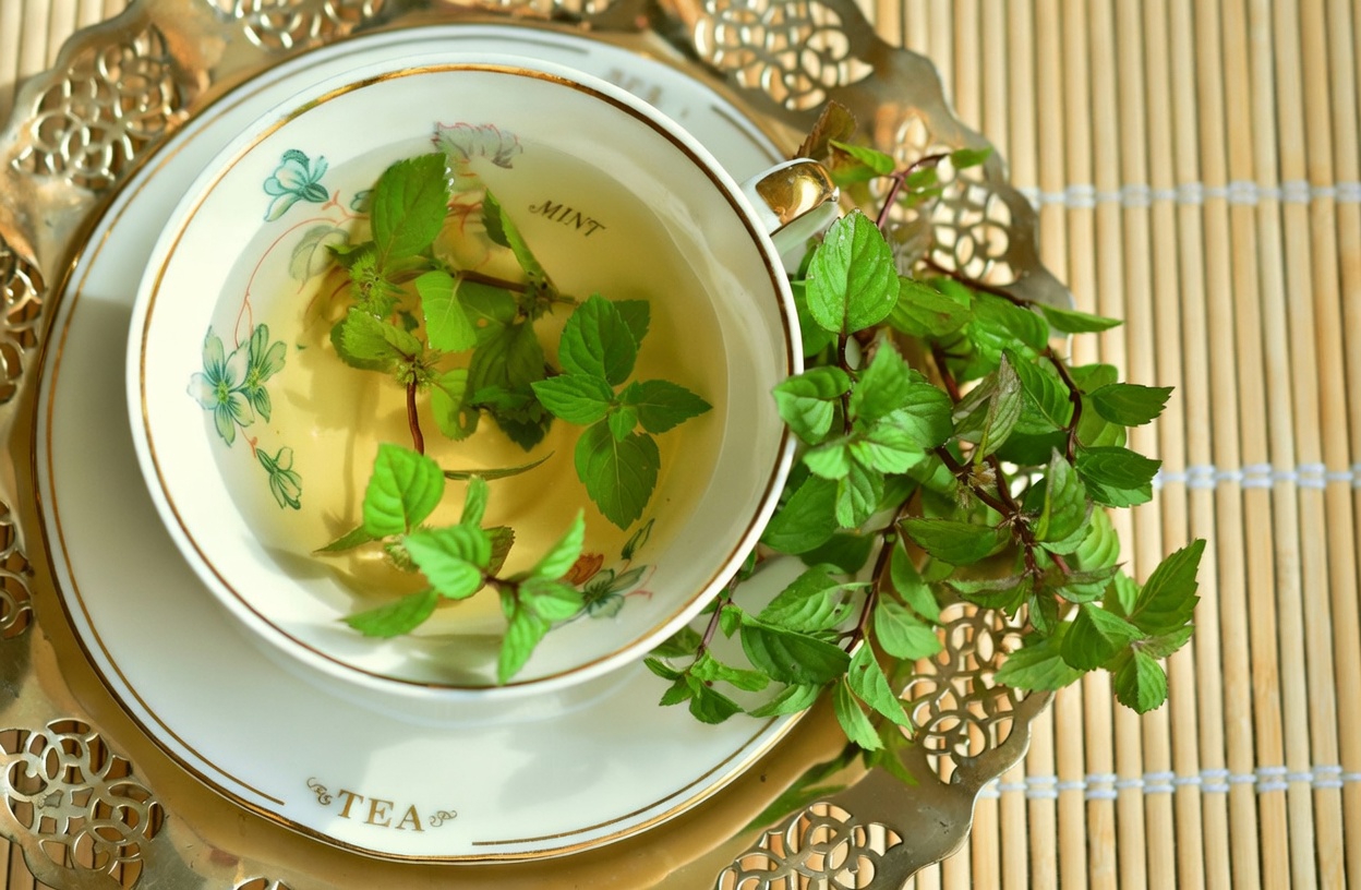 12 Best Morning Drinks Seniors Can Try for Supporting Kidney Health in Their Daily Routine