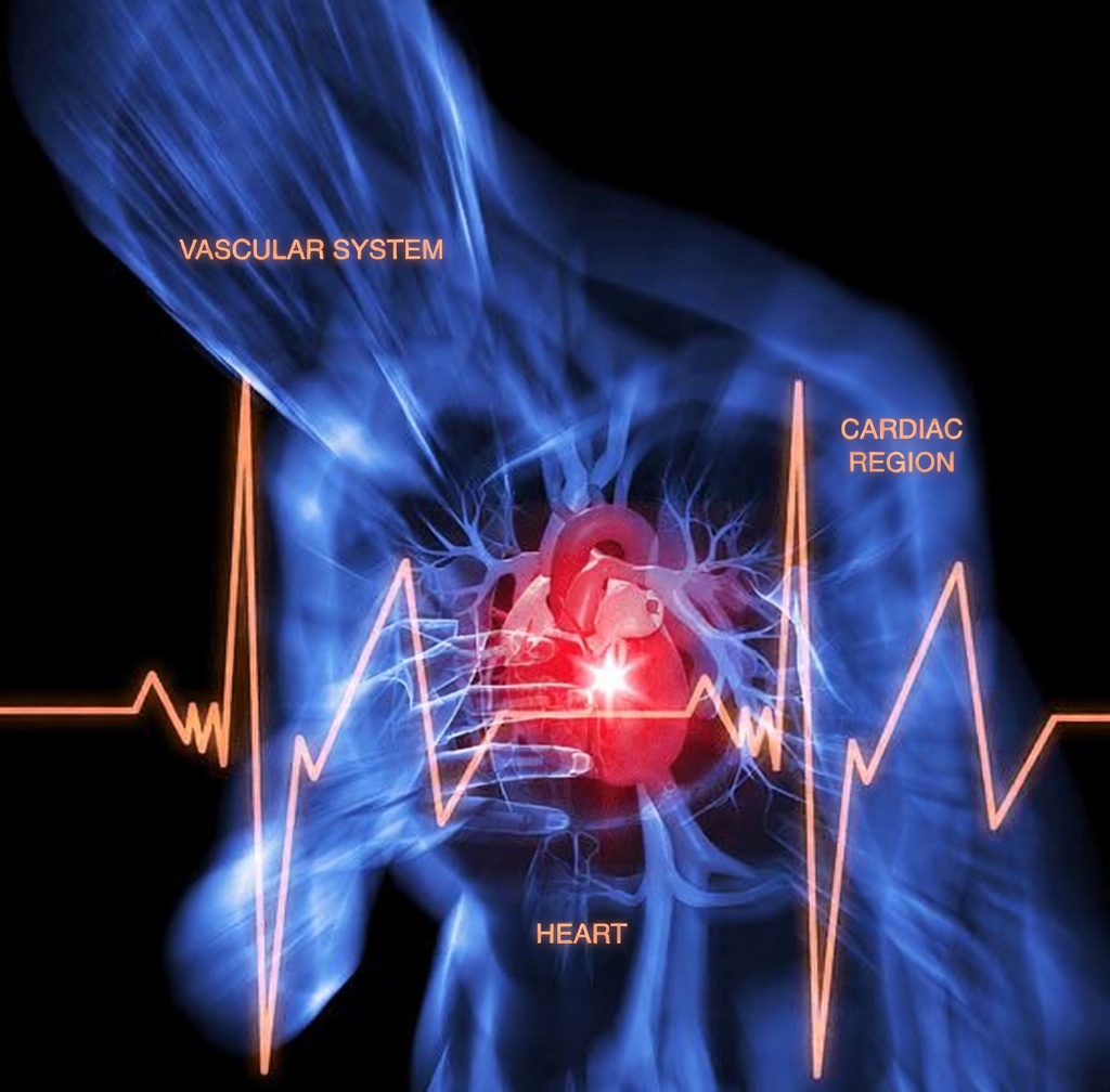 Are These Everyday Heart Health Habits Secretly Working Against You?