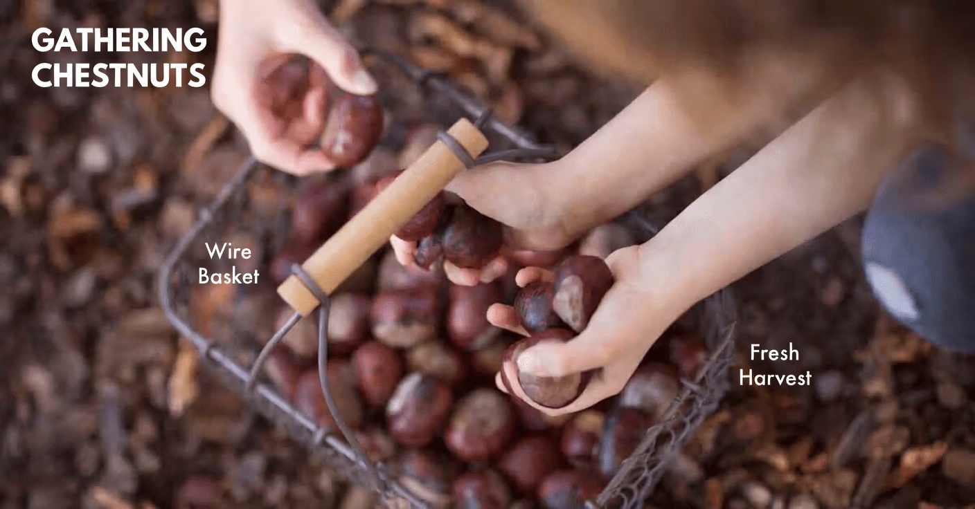 Discover the 5 Most Popular Herbs That Support Healthy Leg Circulation and What You Should Know First