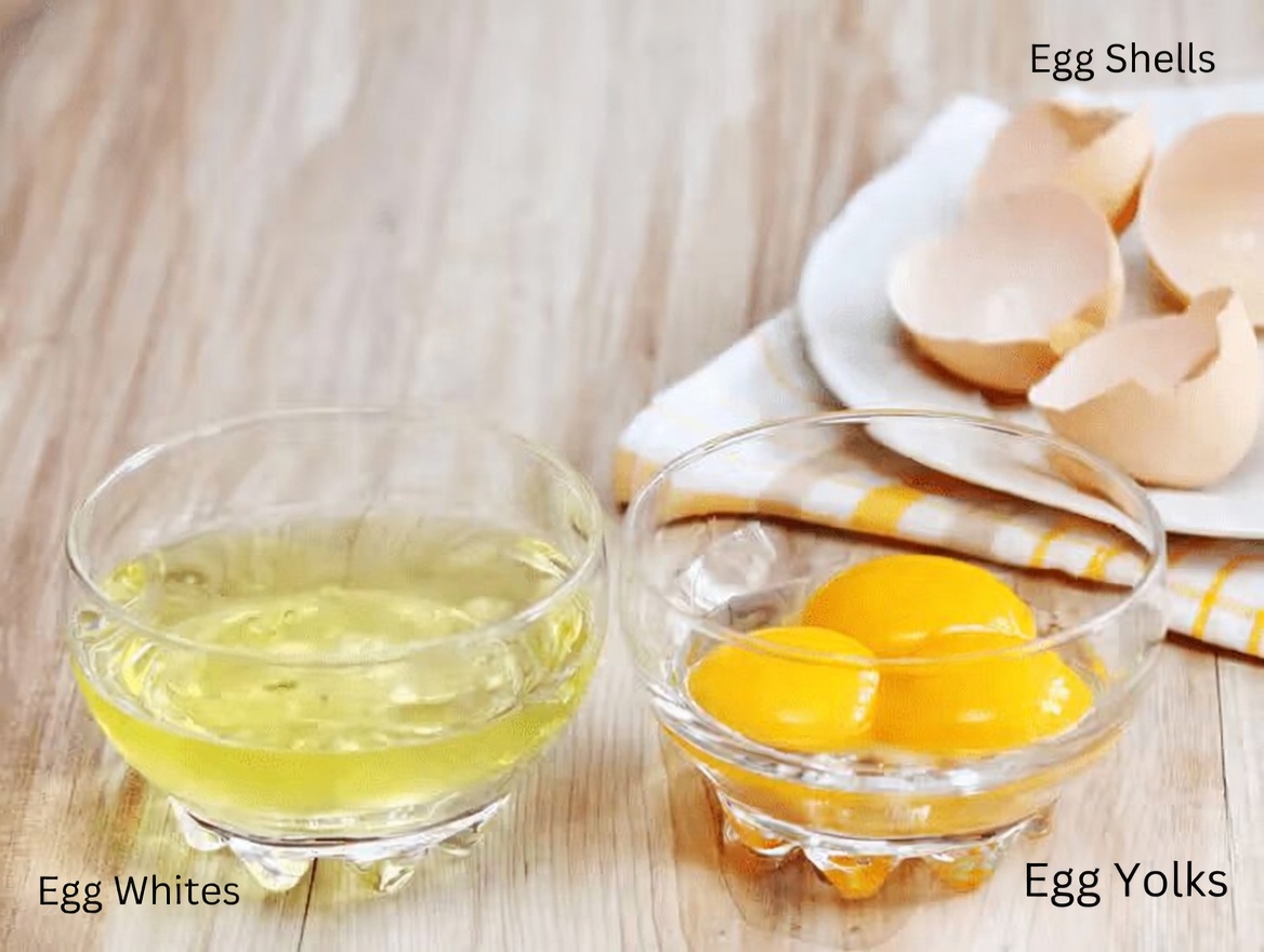 Discover 4 Kidney-Friendly Proteins to Include in Your Diet and 6 to Limit for Better Kidney Health