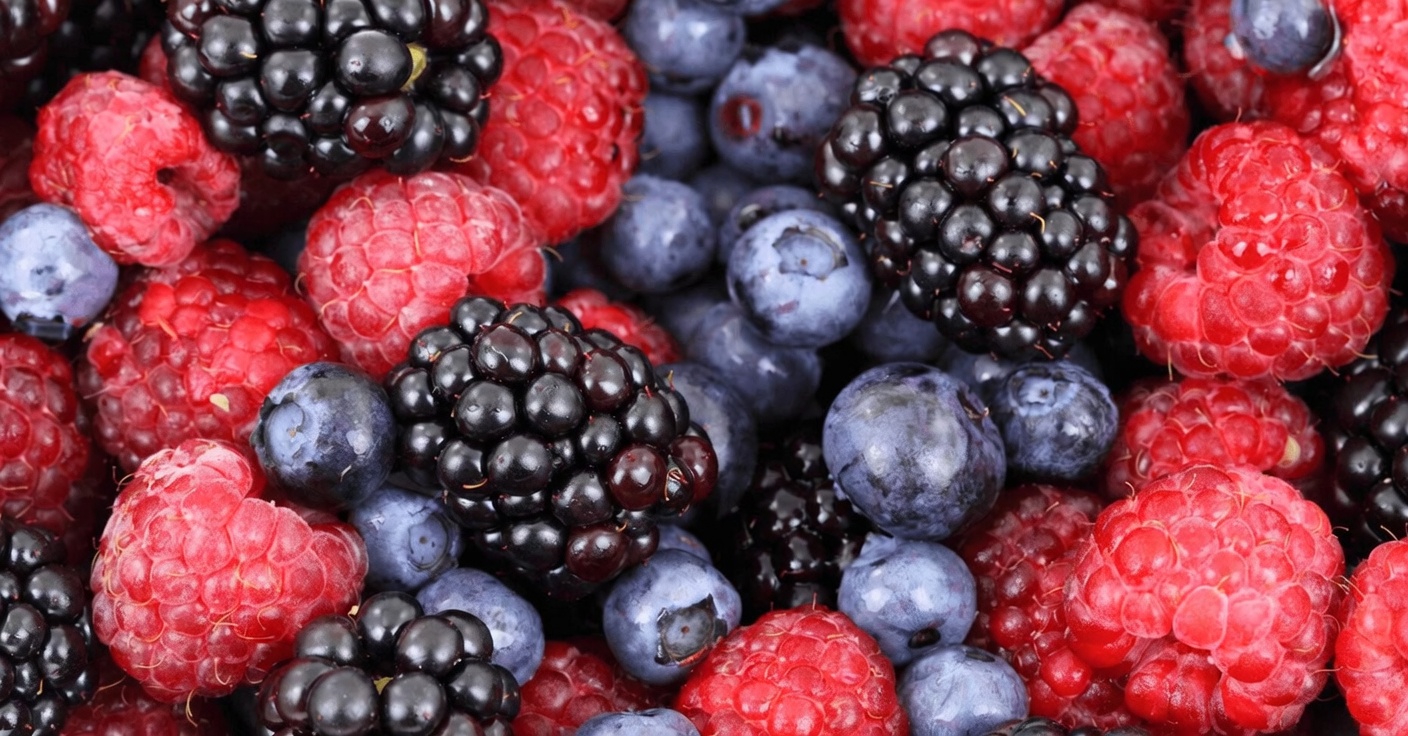 Why Eating These 12 Powerful Natural Foods Every Day After 50 Can Make a Real Difference