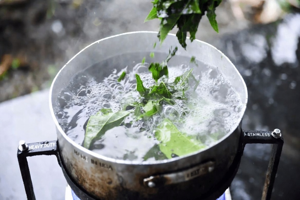 Discover How to Make Papaya Leaf Tea at Home: Simple Tips for Your Everyday Wellness Routine