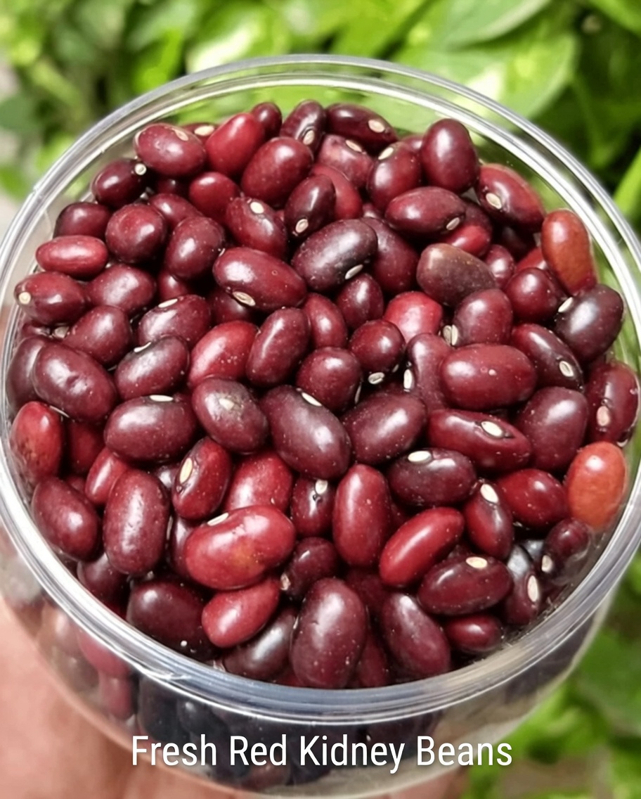 12 Powerful Natural Foods to Include in Your Daily Routine After Age 50