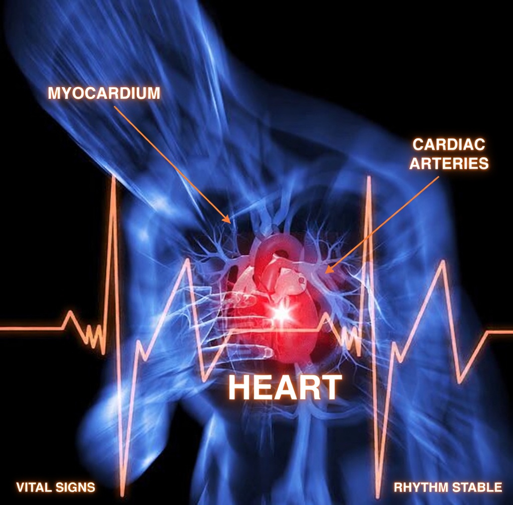 Are These Everyday Heart Health Habits Secretly Working Against You?