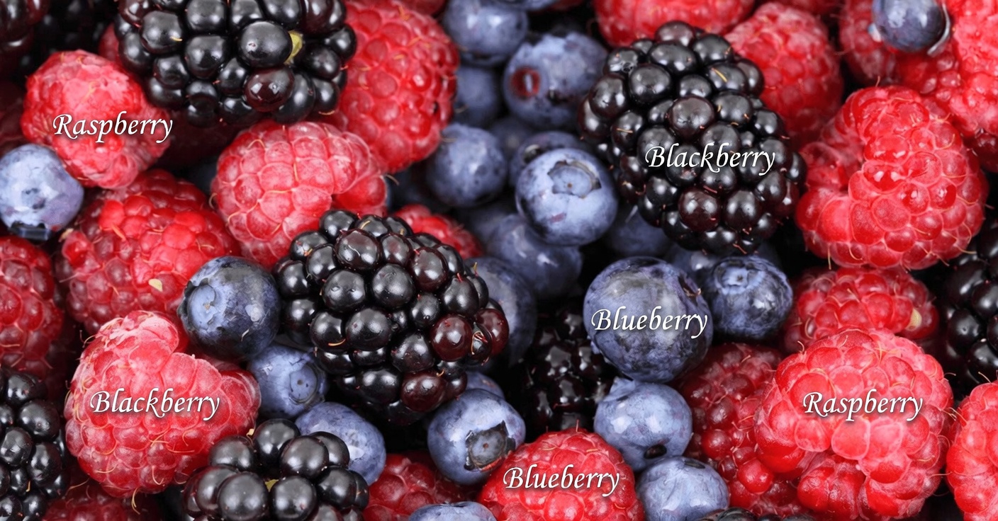 Why Eating These 12 Powerful Natural Foods Every Day After 50 Can Make a Real Difference