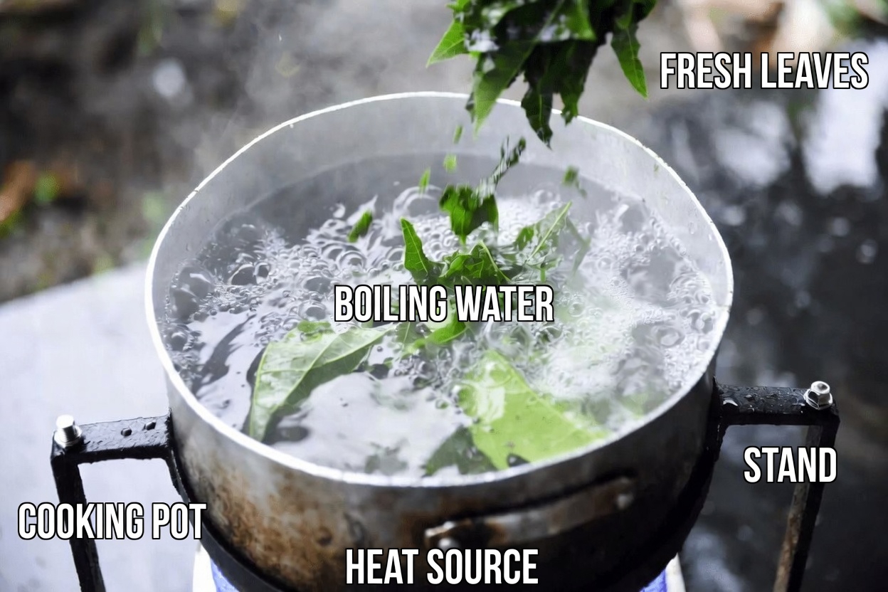 Discover How to Make Papaya Leaf Tea at Home: Simple Tips for Your Everyday Wellness Routine