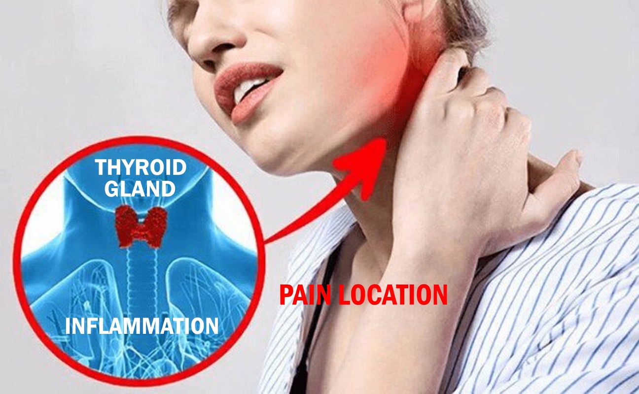 The Simple 3-Ingredient Kitchen Mix Many Are Using to Support Thyroid Wellness Naturally