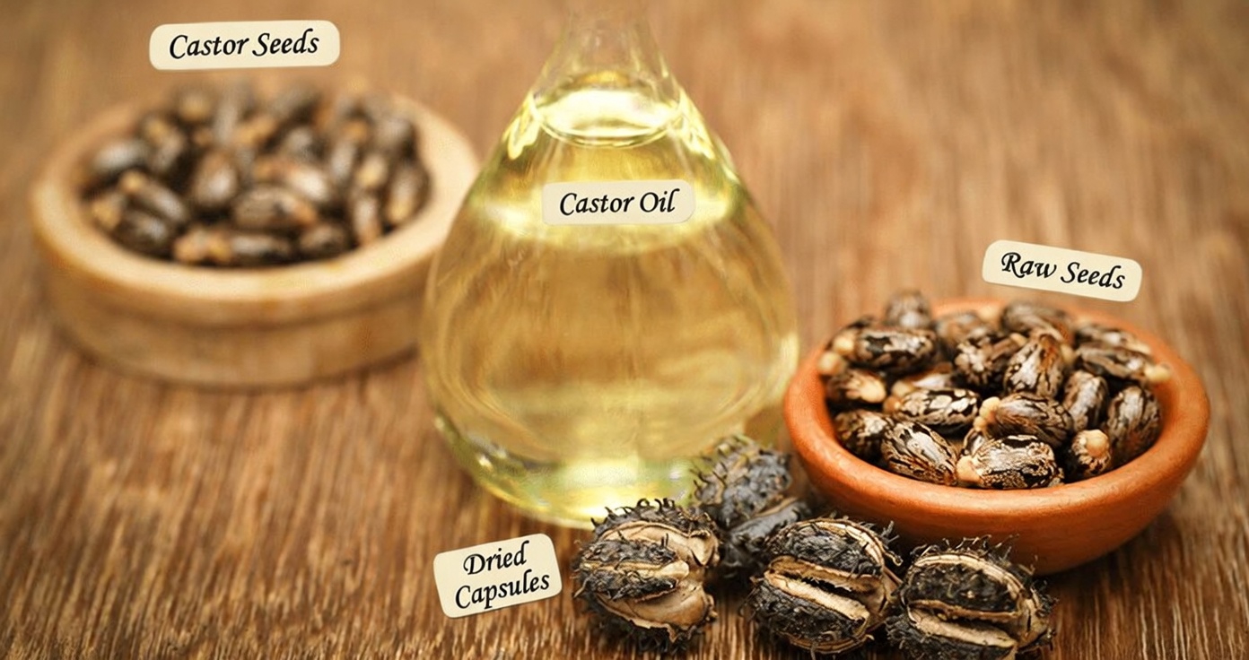 Why Women Over 50 Are Exploring the Old Tradition of 2 Drops of Castor Oil on Honey