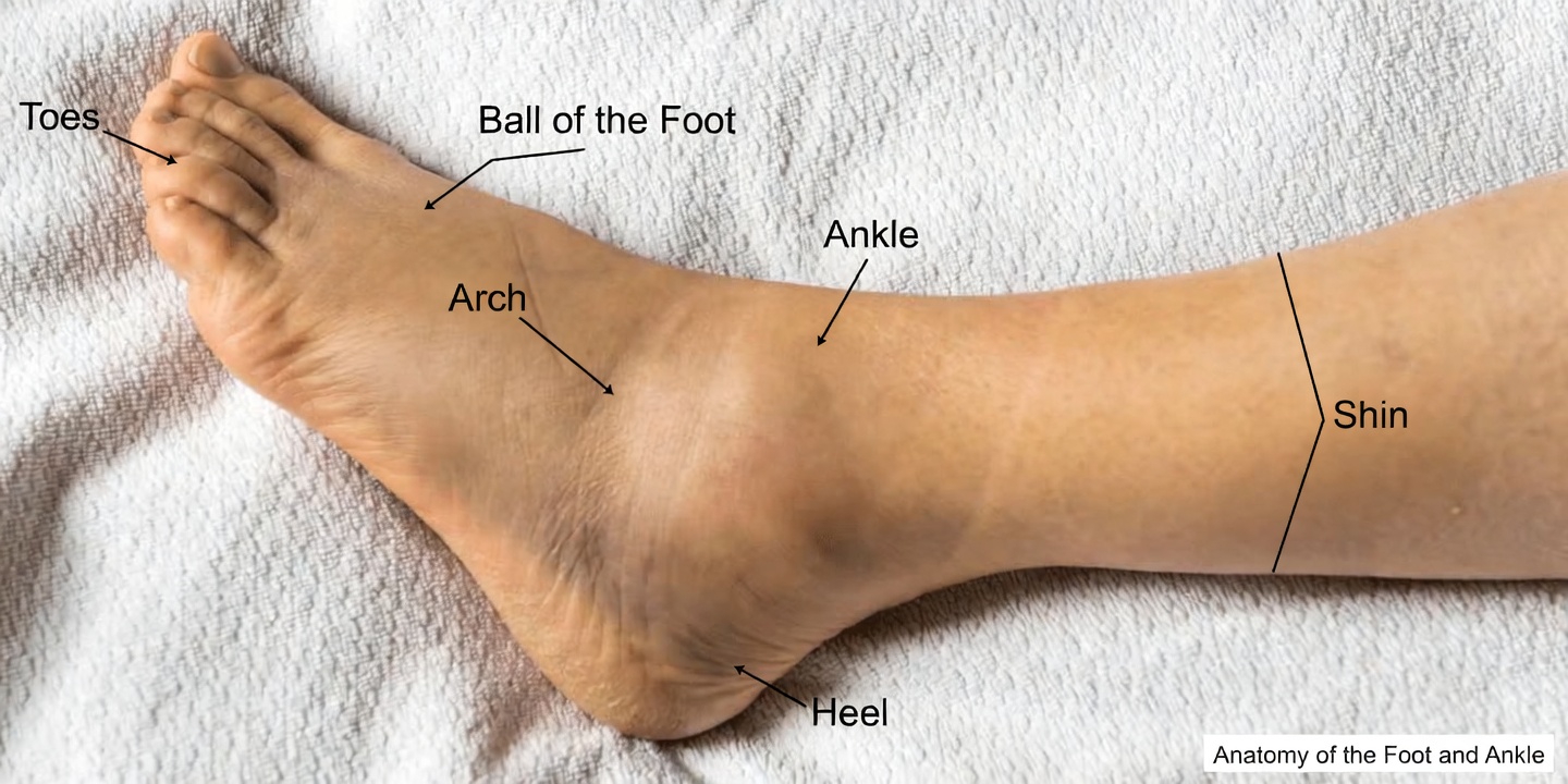 5 Silent Warning Signs Your Heart Is in Serious Danger That Every Adult Should Know About Right Now