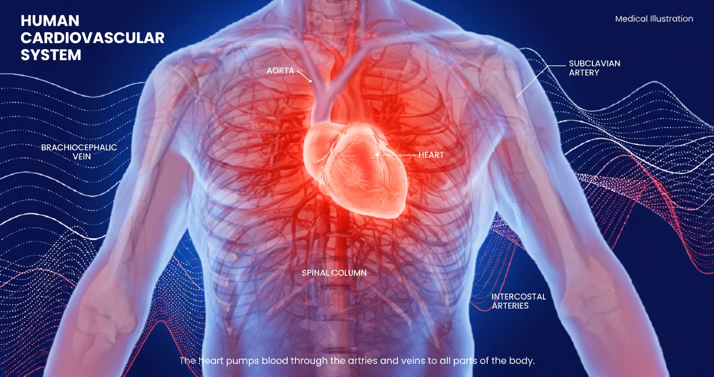 Top 12 Amlodipine Side Effects You Need to Know About (What Many Doctors Don’t Always Mention)