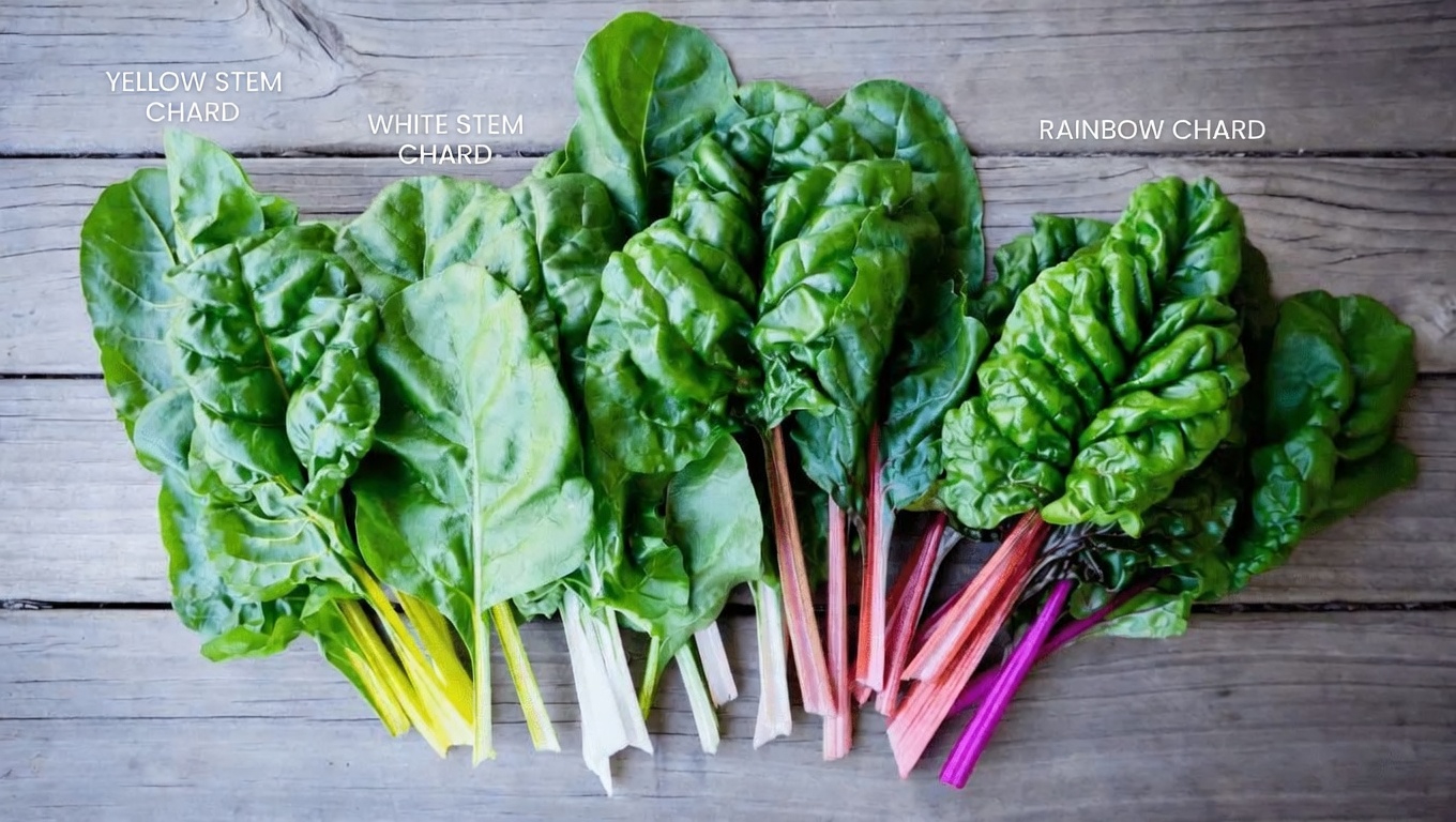 Here Are 12 Foods You Can Eat Daily to Help Support Your Liver Health Naturally