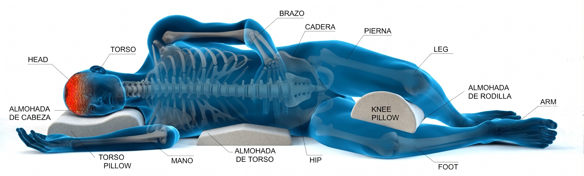 How Your Sleeping Position May Support Your Brain’s Natural Overnight Cleanup Process: 8 Habits Worth Exploring