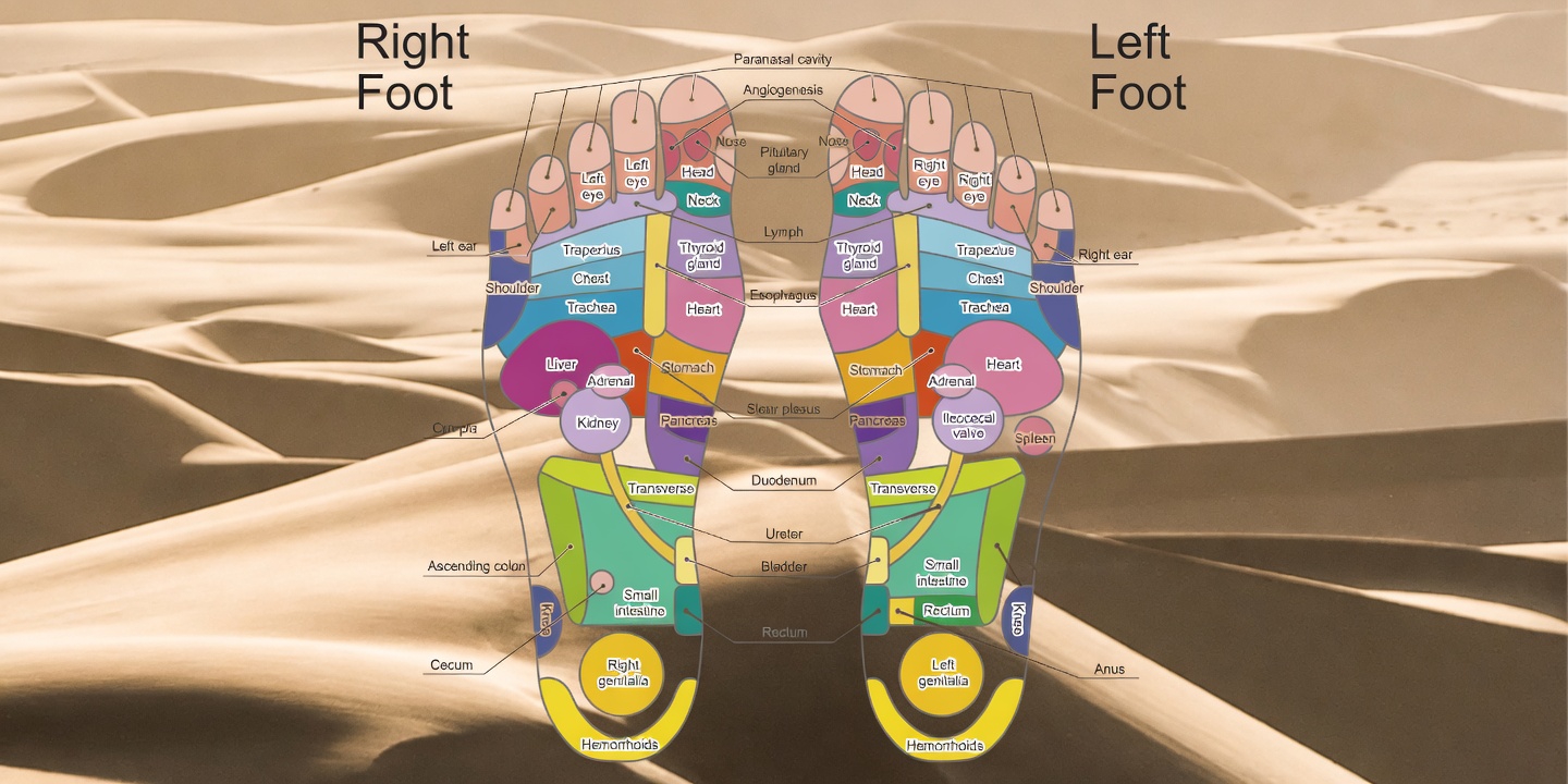 Discover Your Foot Reflexology Map and the Surprising Ways It Connects to Your Entire Body