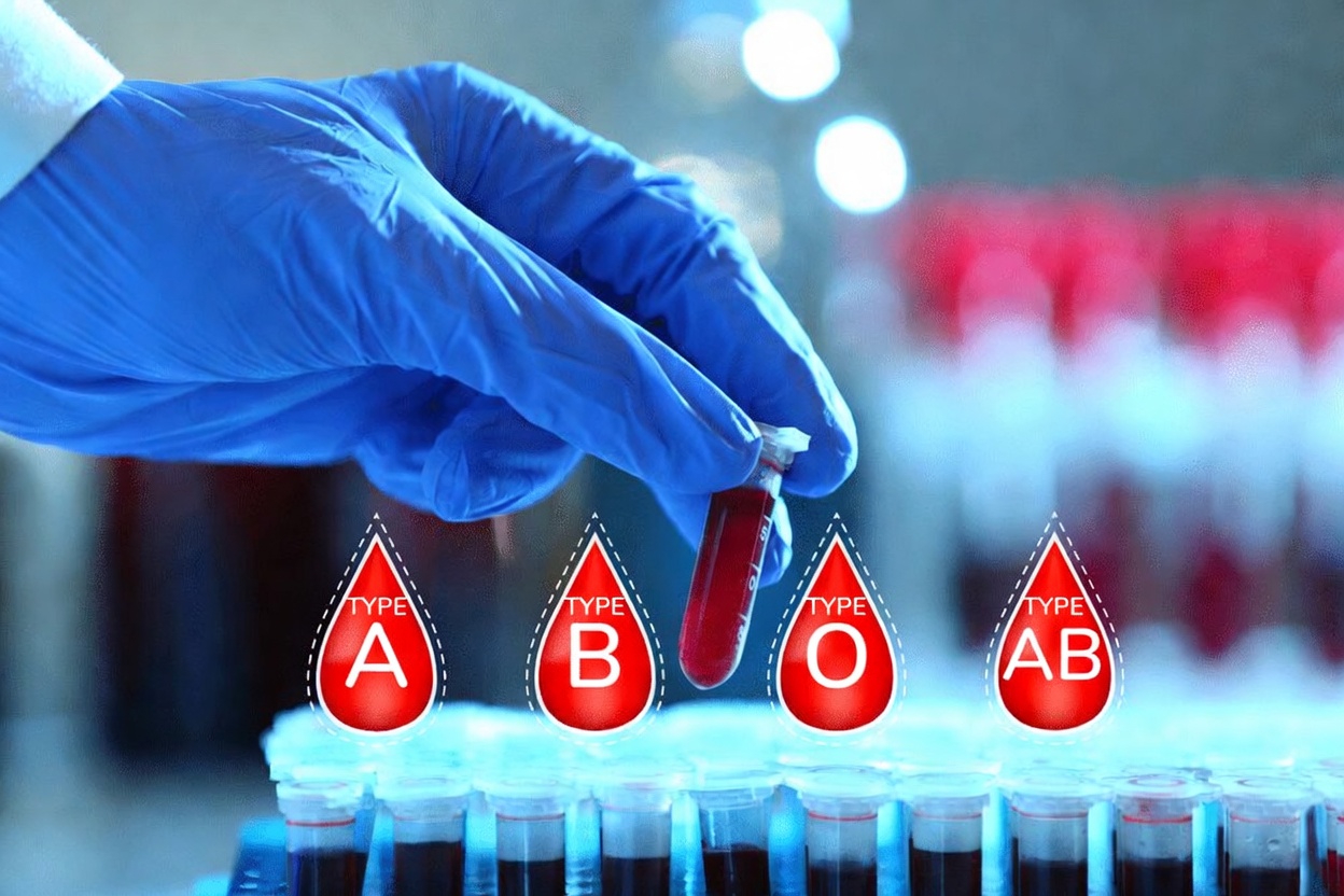 The Surprising Ways Your Blood Type May Influence Your Health Risks and What It Means for You