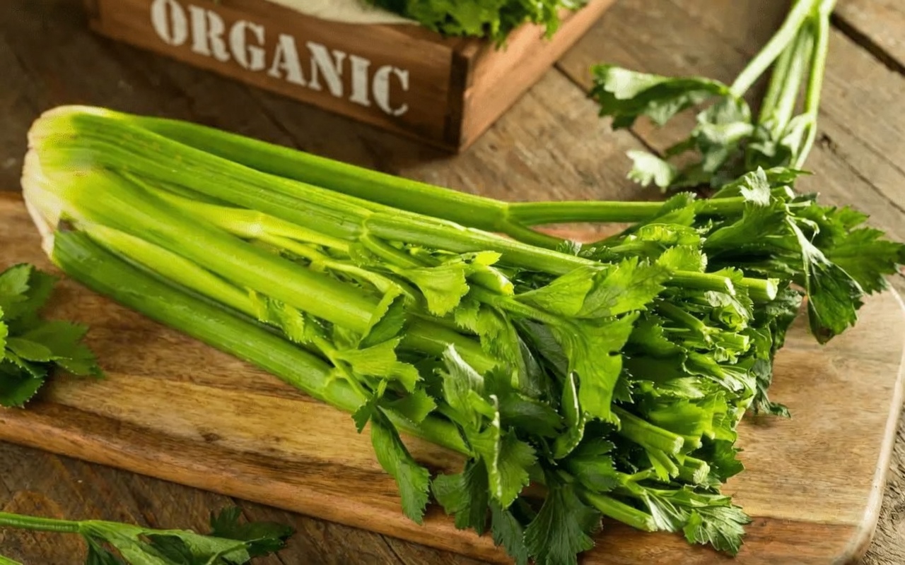 The 7 Superfoods Dr. Norman Walker Enjoyed Daily in His Famous Juicing Routine at Age 99