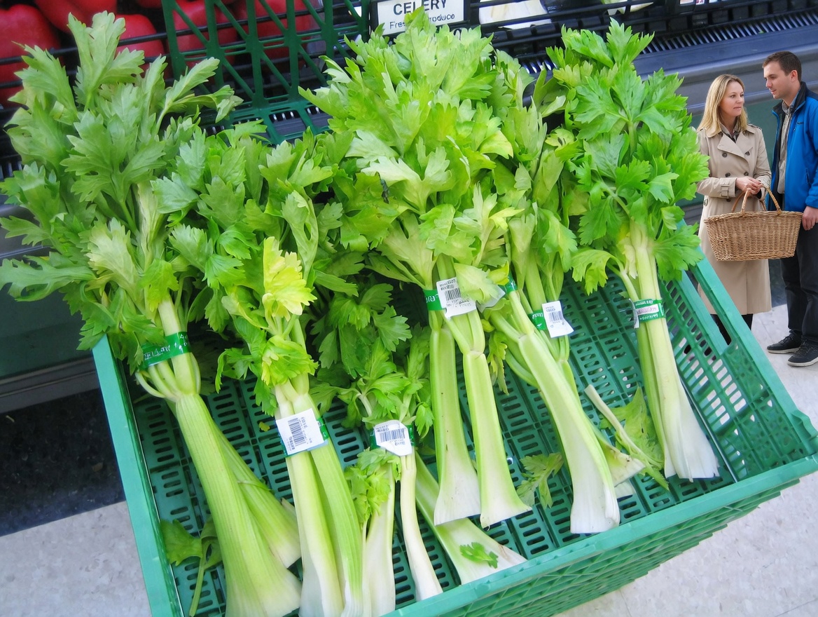 Seniors Discover the 7 Foods Dr. Norman Walker Included Daily in His Routine for Vibrant Aging