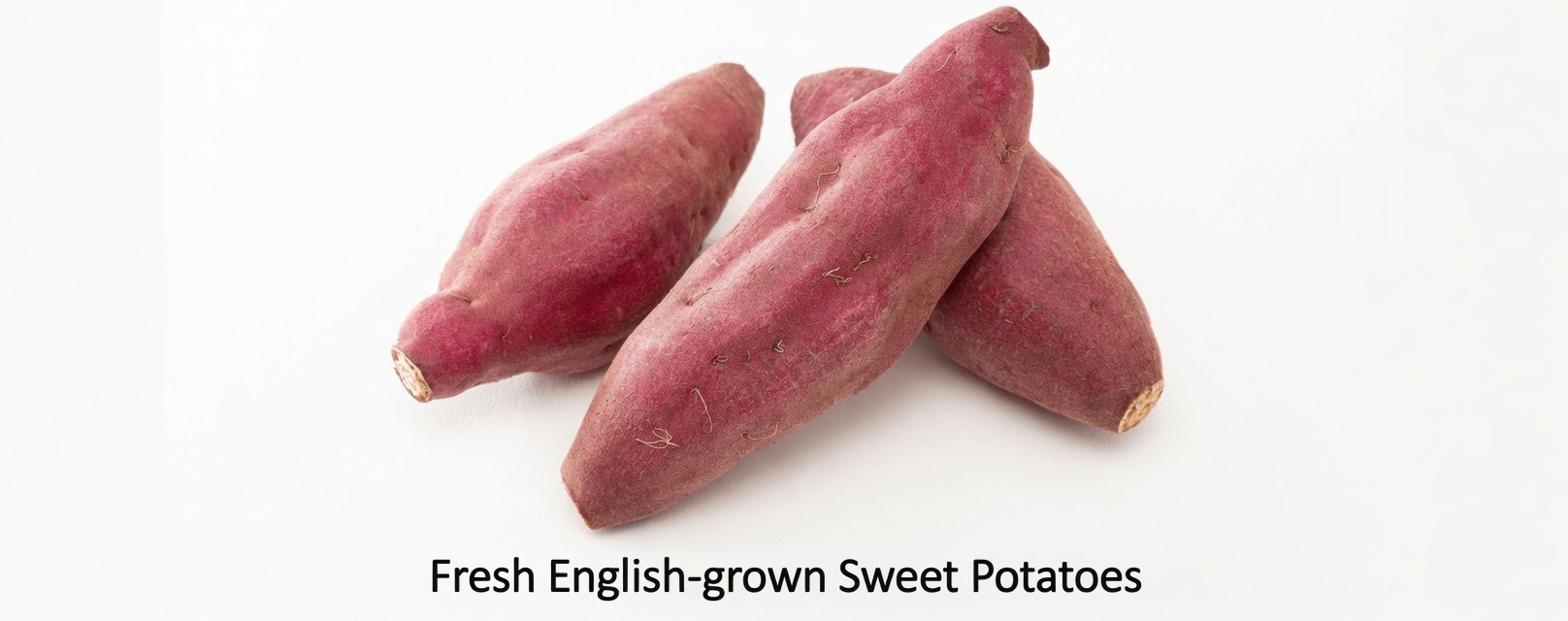 12 Natural Foods to Eat Every Day After Age 50 to Support Your Energy and Overall Wellness