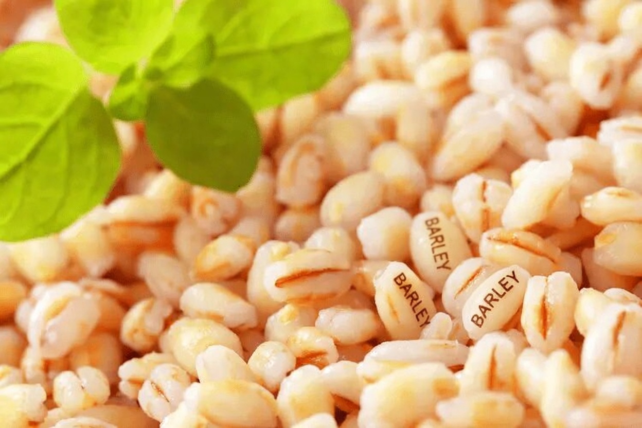 What Is Barley and Why the Hype?
