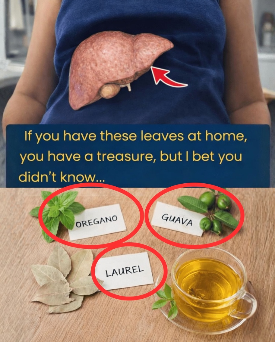 3 Common Leaves You Have at Home That May Help Support Your Liver and Bile Function Naturally