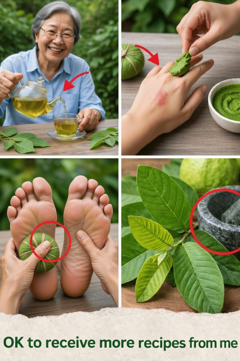 Discover How Guava Leaves Can Support Joint Comfort, Bone Health, and Help Reduce Leg Swelling Naturally