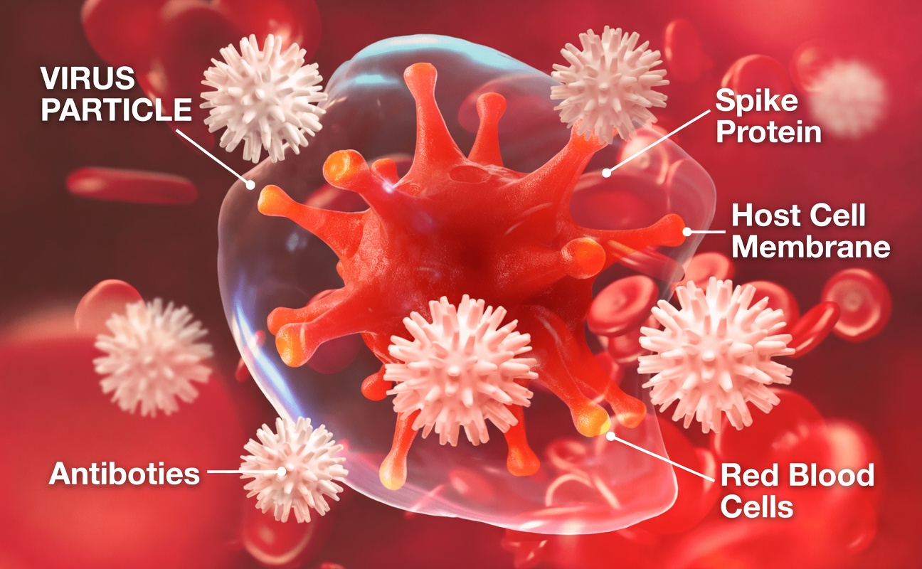Have You Seen Claims About a Leaf That Affects Cancer Cells in Hours? What Science Shows