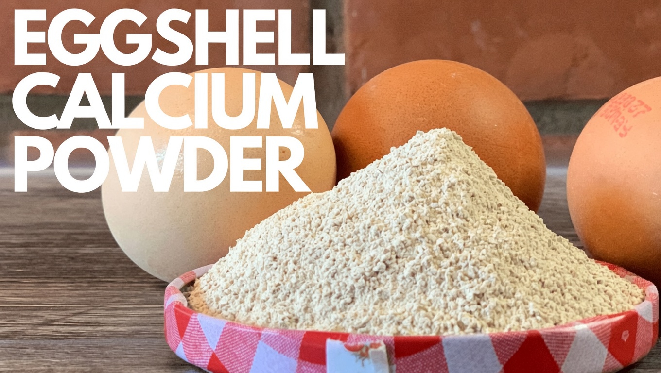 How to Make Homemade Eggshell Powder at Home: Simple Recipe for Natural Collagen and Calcium Boost