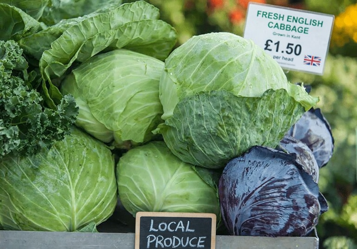 Discover These 12 Superfoods That May Help Support Healthy Creatinine Levels and Kidney Wellness Naturally