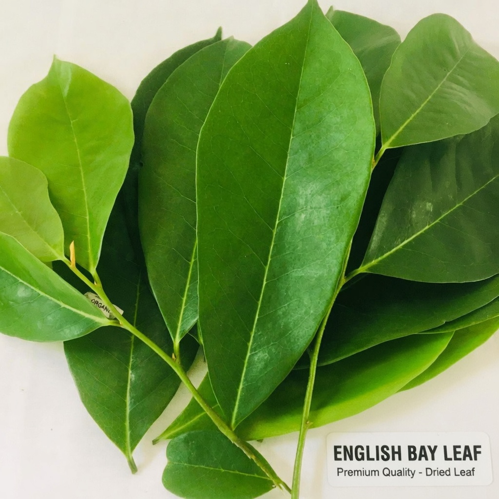 How Men Can Support Prostate Health Naturally With Simple Daily Habits and Traditional Herbal Remedies