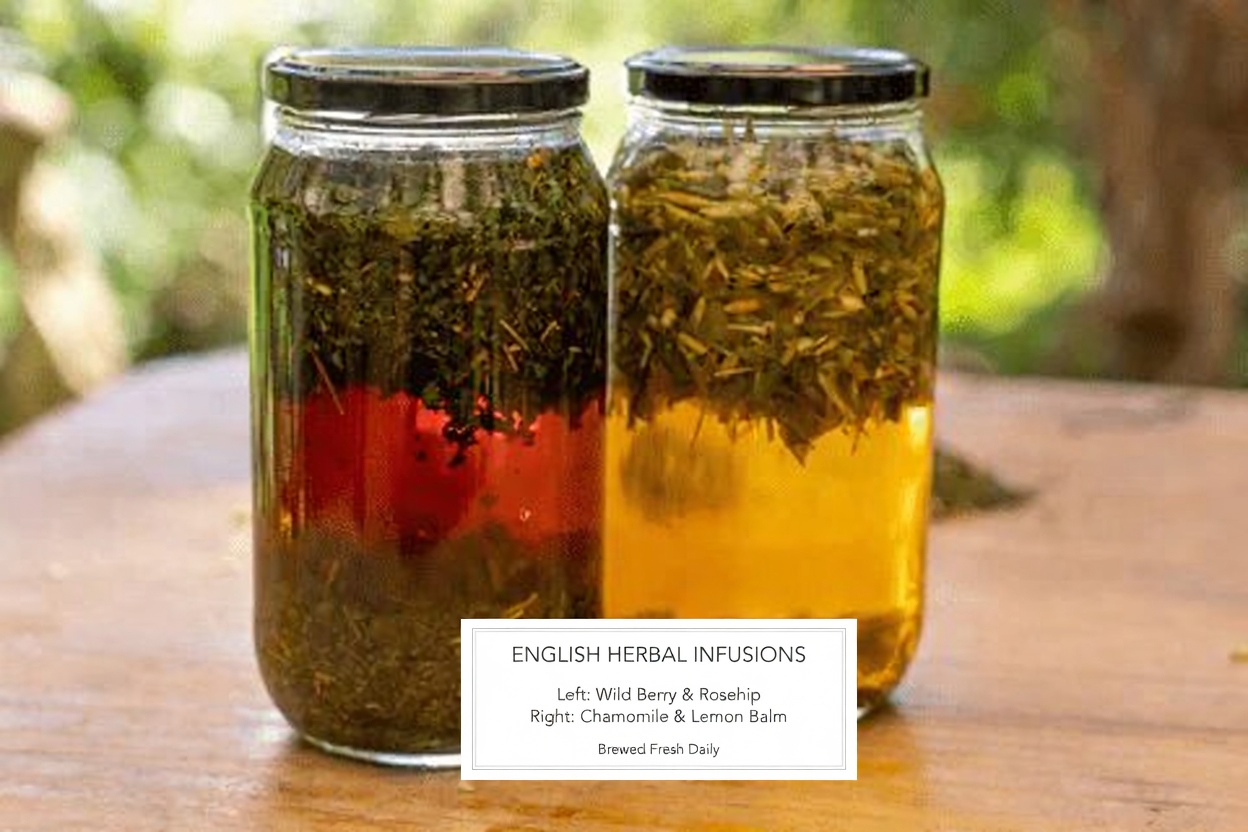 Discover the Timeless Secret of a 95-Year-Old Chinese Doctor: How He Stays Vibrant and Healthy