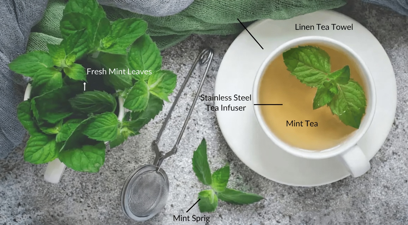 The Silent Thief: 12 Everyday Ways Peppermint May Help Support Healthier Arteries and Circulation Naturally