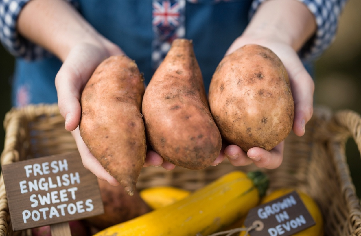 Sweet Potatoes After Age 50: What Science Says About Their Role in Supporting Wellness for Older Adults