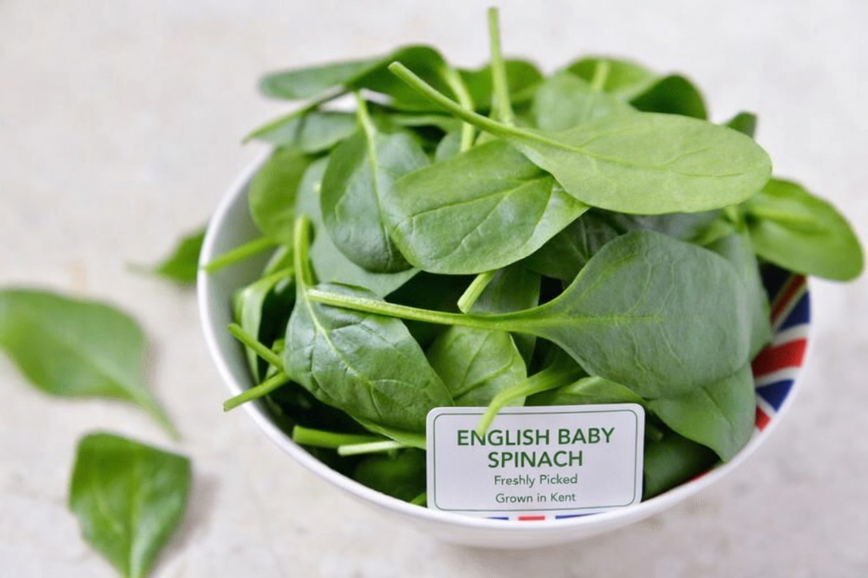 The One Missing Food That’s Quietly Melting Your Muscle After 60 (And the 5 Monk-Approved Foods That Bring It Back)