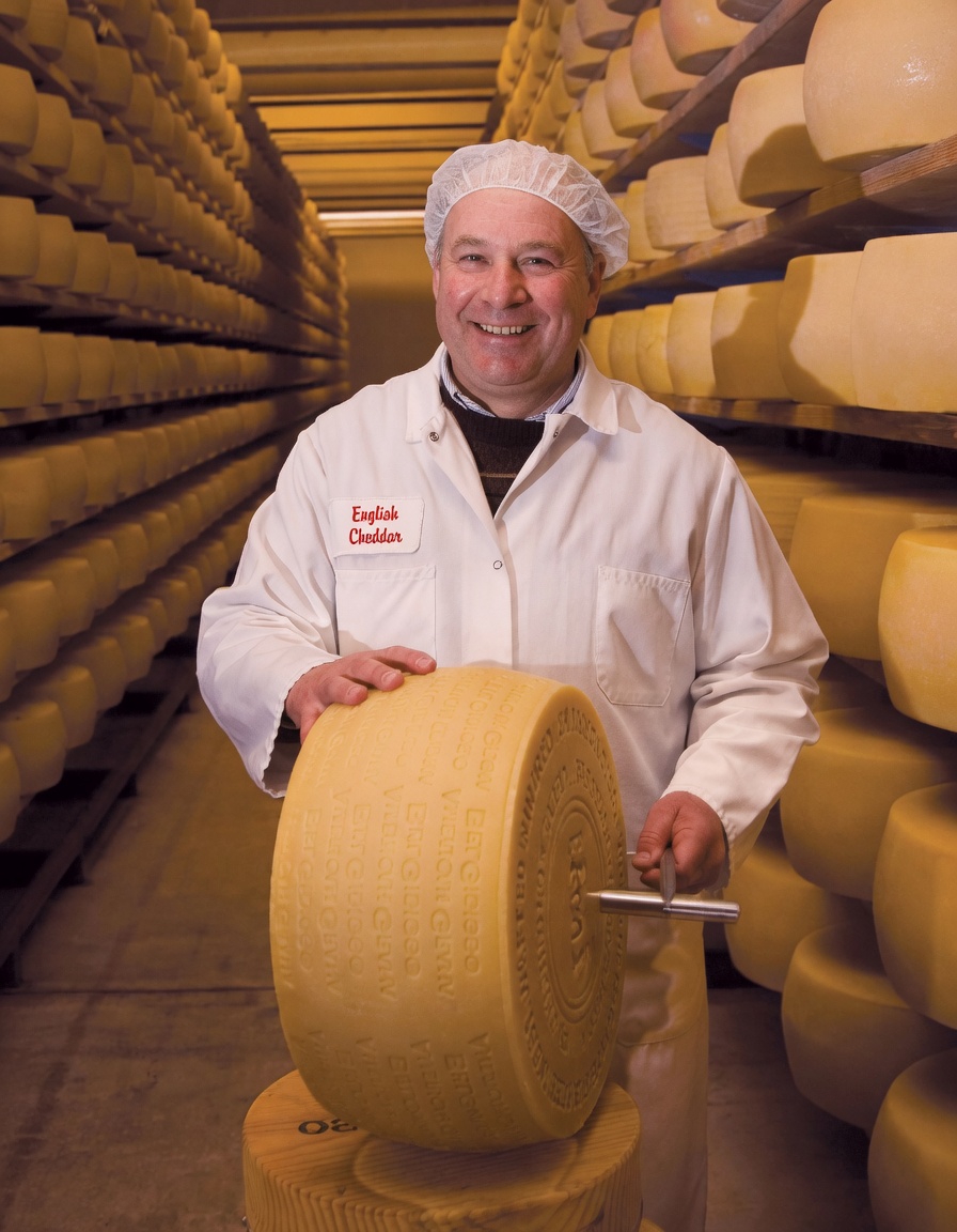 Discover Parmesan Cheese: A High-Protein Option with More Protein Than Eggs for Supporting Muscle Health After 60