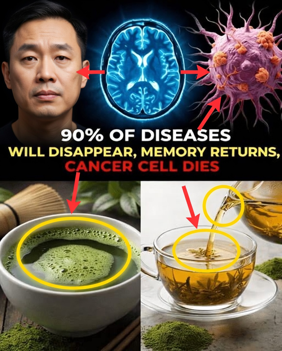 Seniors Over 60: 5 Everyday Foods That May Support Brain Health and Mental Clarity