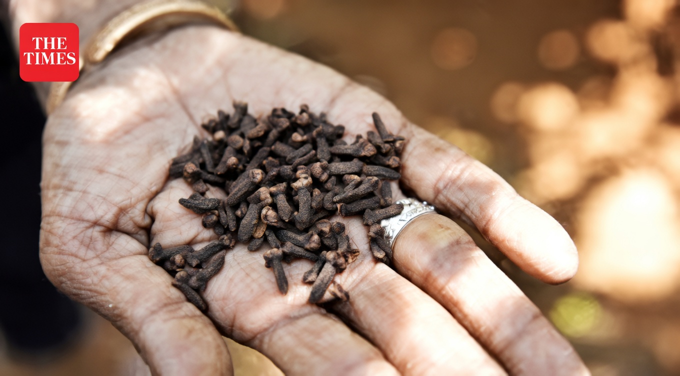 The Truth About Chewing Cloves: 8 Common Mistakes That Could Harm Your Health