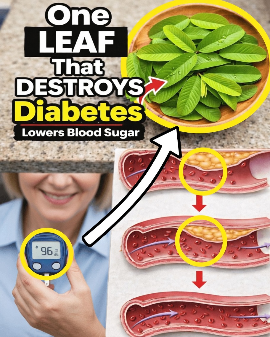 1 Leaf That Lowers Blood Sugar, Melts Fat & Clears Arteries FAST – The Shocking Science Behind Nature’s Hidden Powerhouse