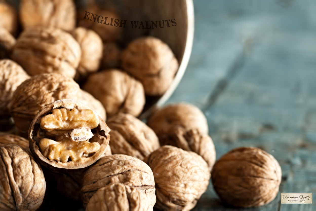 Top 4 Powerful Dry Fruits That Detoxify & Heal Your Kidneys While You Sleep