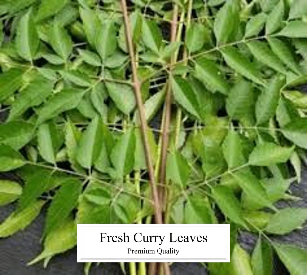 Neem Leaves for Better Health: Benefits, Practical Uses, and Safe Ways to Incorporate Them Naturally