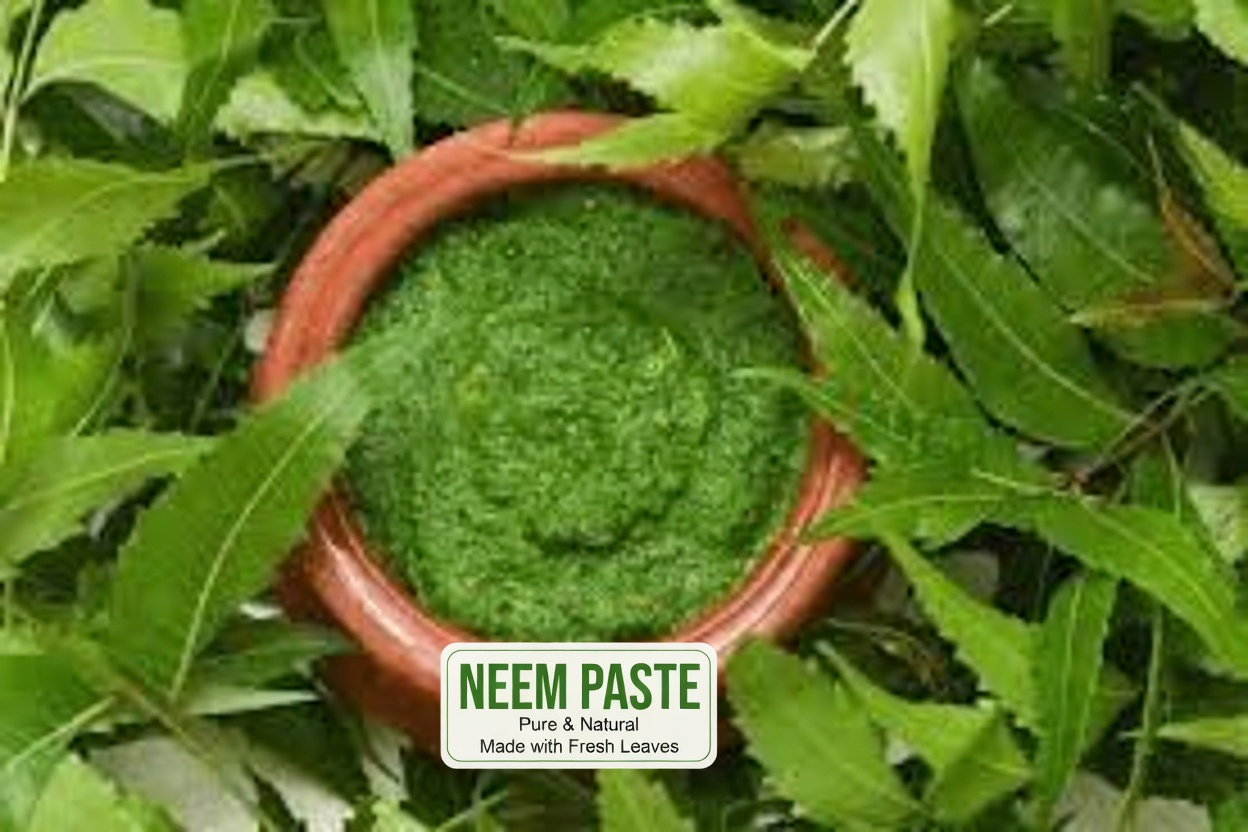 Neem Leaves for Better Health: Benefits, Practical Uses, and Safe Ways to Incorporate Them Naturally
