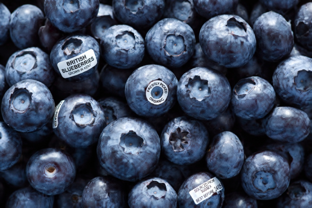 I Am an Oncologist: Seniors, These 10 Foods May Help Your Body Fight Abnormal Cells