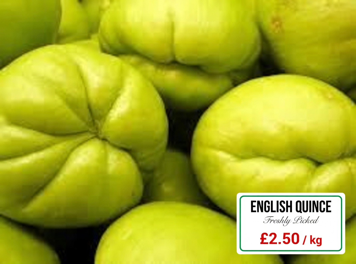 Chayote and Lemon Drink: A Natural Remedy to Improve Circulation and Reduce Leg Swelling