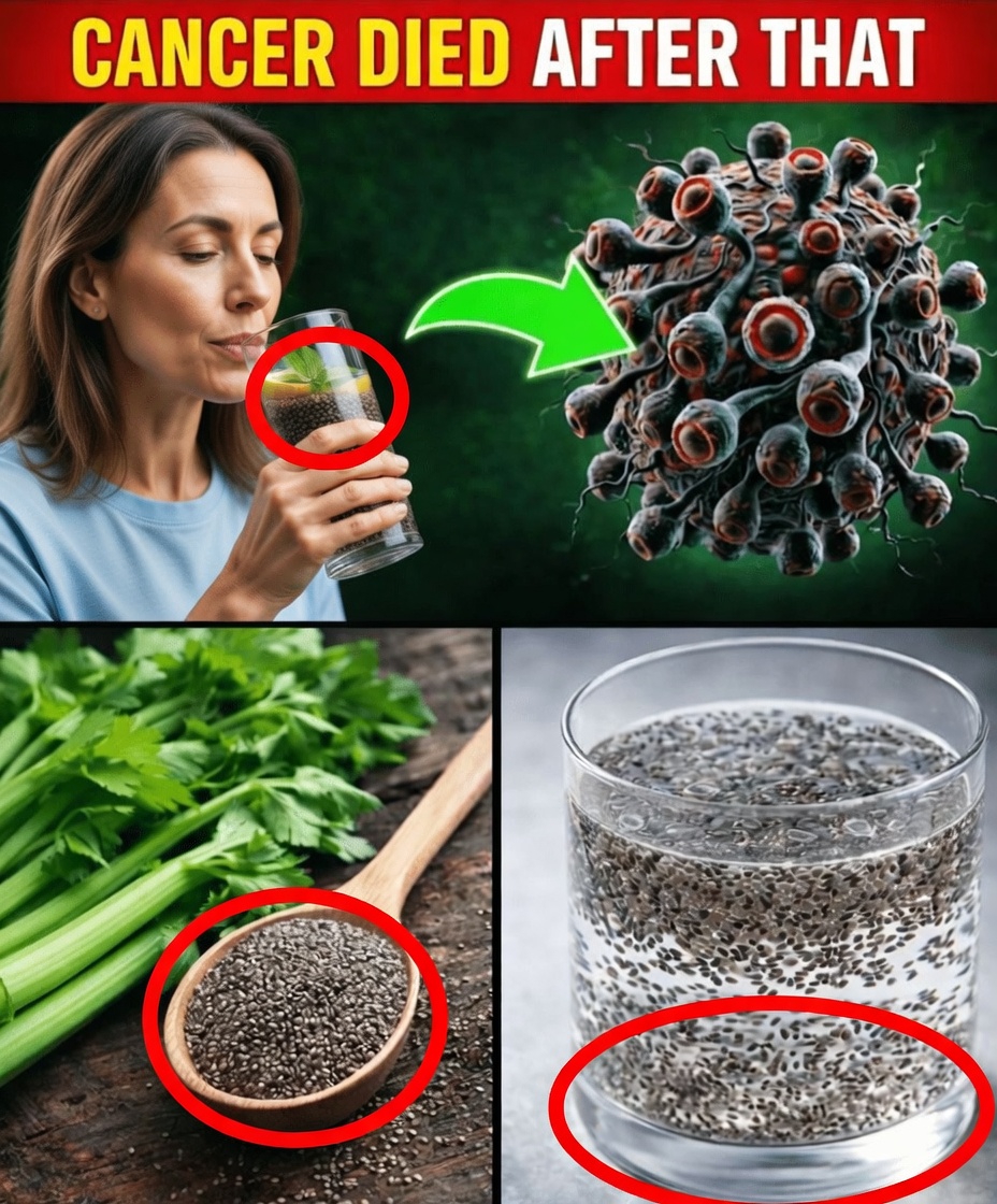 Cancer is Afraid of These Foods: Discover the Top 16 Plant-Based Choices That May Support Cancer Prevention