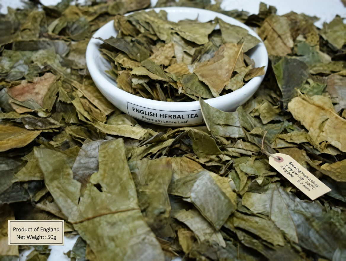 The Leaf Everyone’s Talking About: Exploring Soursop Leaves and Their Potential Role in Wellness