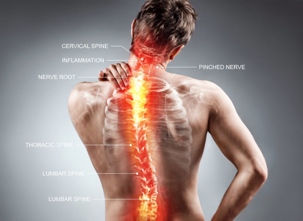 6 Warning Symptoms of Ovarian Cancer Every Woman Should Know About These Subtle Signs and Why Awareness Matters