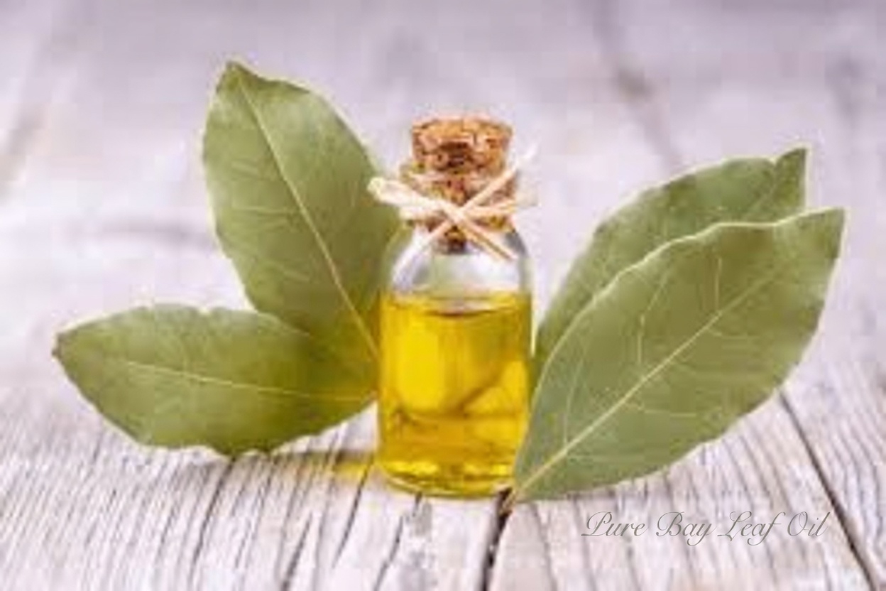 Bay Leaf for Wrinkles: Fact vs Fiction – Exploring Natural Ways to Support Youthful Skin Appearance