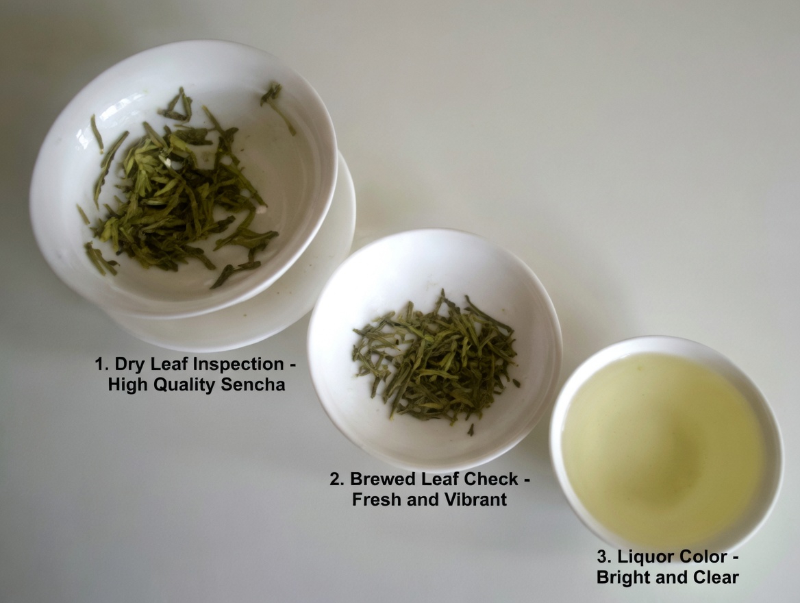 10 Best Natural Drinks to Cleanse and Detox Your Kidneys Fast