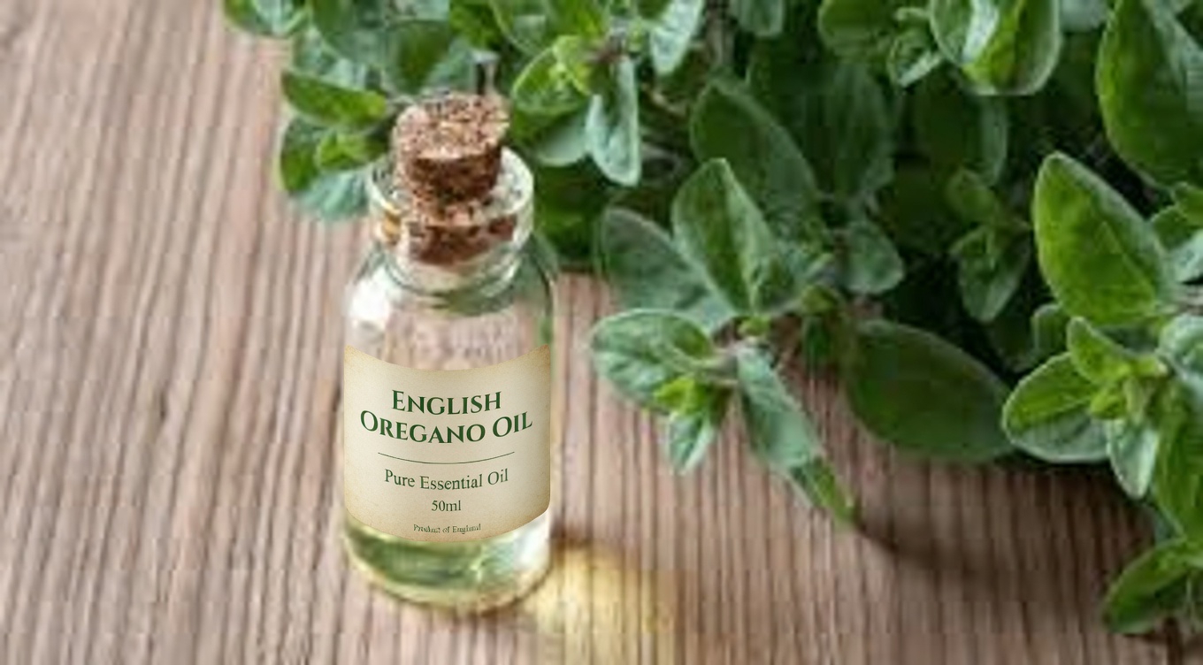 Oregano for Eye Health After 40: Natural Antioxidant Support and Easy Daily Habits