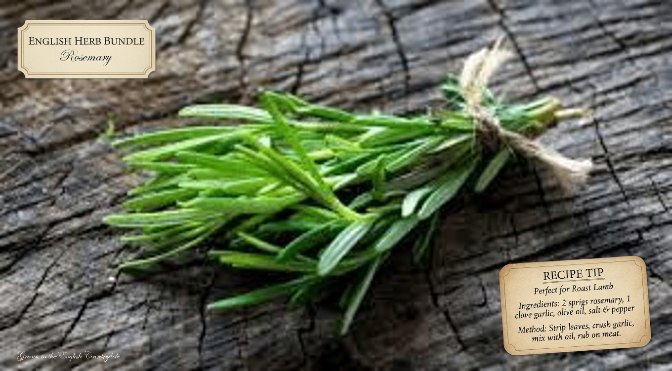 Discover Traditional Herbs That Support Leg Circulation and Boost Your Daily Vascular Wellness Naturally