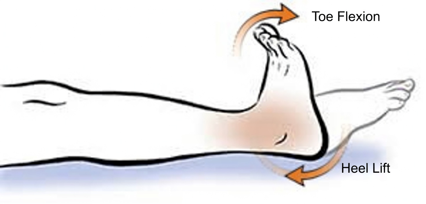 Surgeon REVEALS: Do THIS 1 Exercise for Poor Leg Circulation After 60